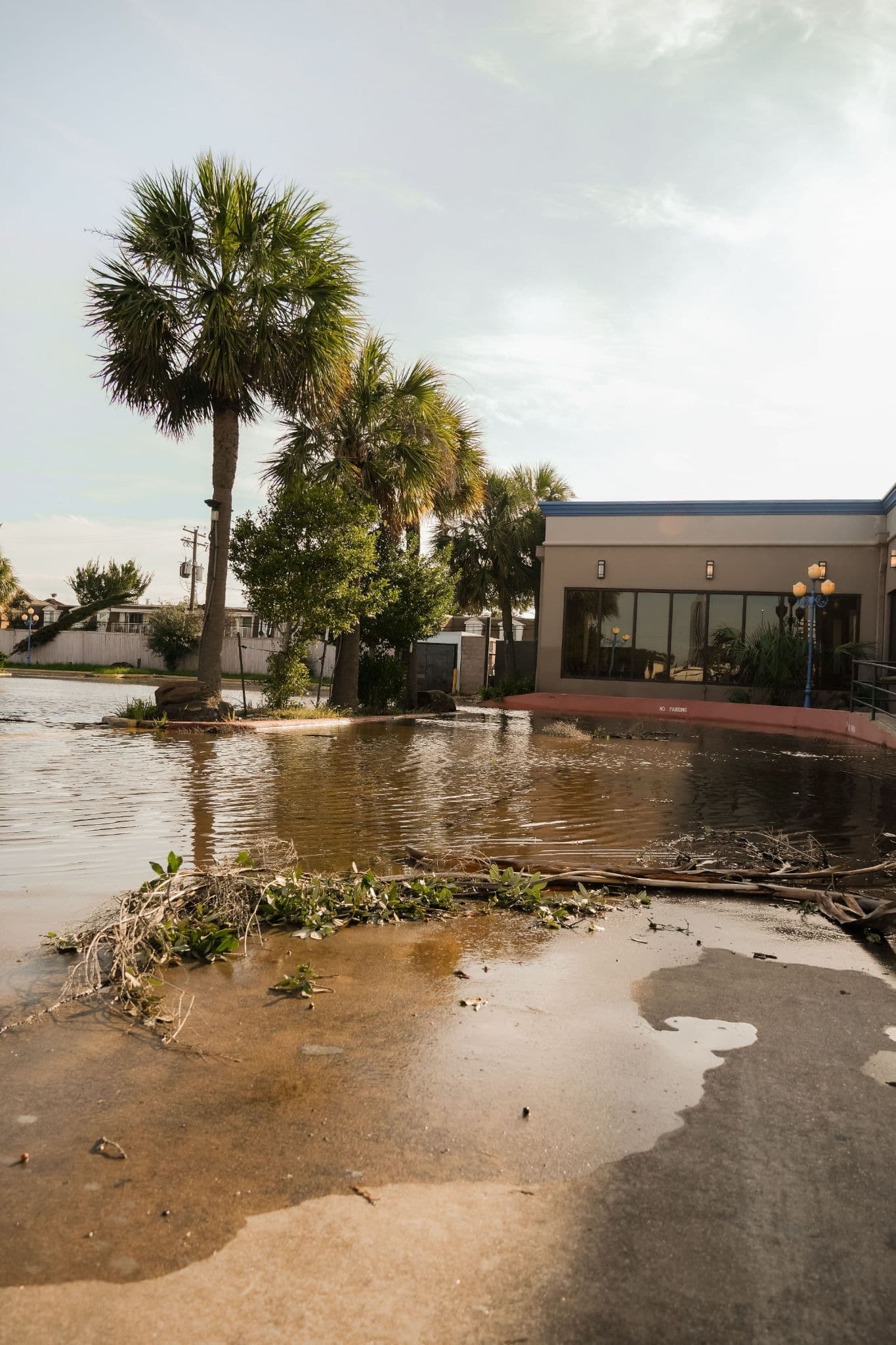 Is Private Flood Insurance Actually Worth It for Florida Homes?